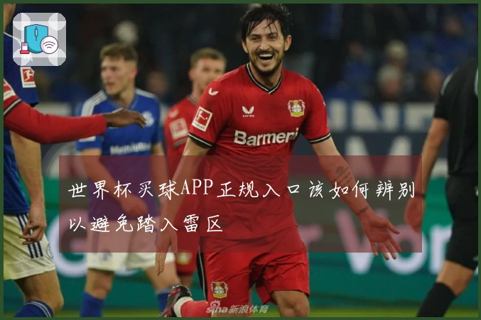 世界杯买球APP正规入口该如何辨别以避免踏入雷区