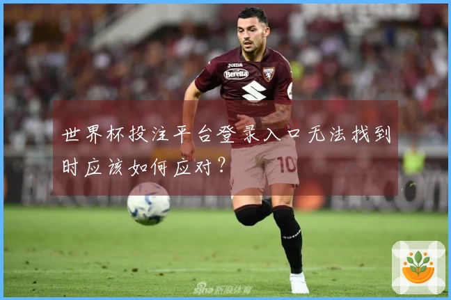 世界杯投注平台登录入口无法找到时应该如何应对?