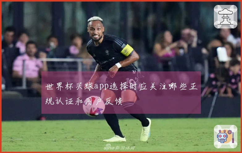 世界杯买球app选择时应关注哪些正规认证和用户反馈