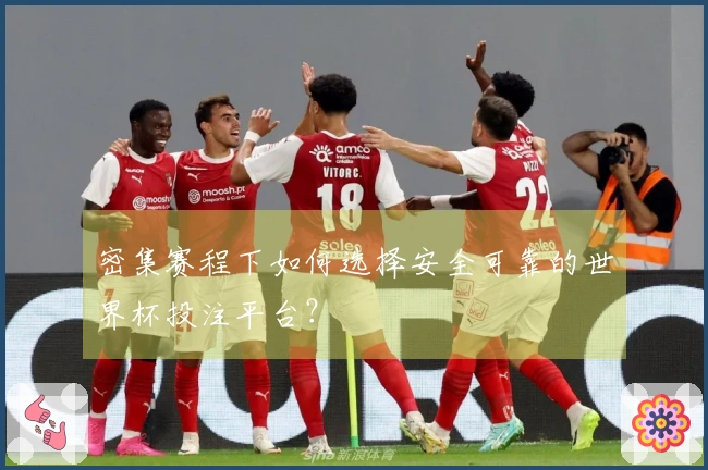 密集赛程下如何选择安全可靠的世界杯投注平台？
