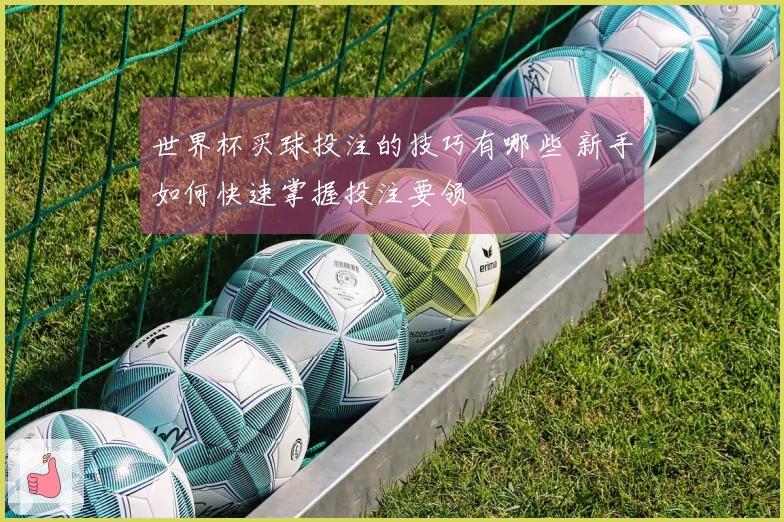 世界杯买球投注的技巧有哪些 新手如何快速掌握投注要领