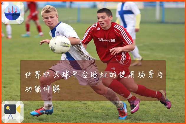世界杯买球平台地址的使用场景与功能详解
