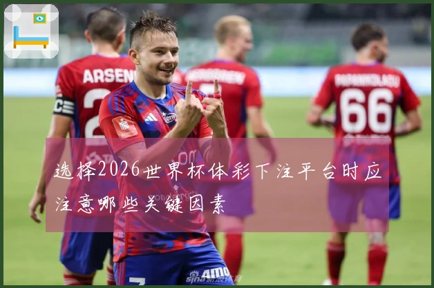 选择2026世界杯体彩下注平台时应注意哪些关键因素