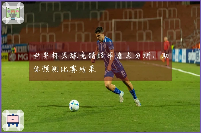 世界杯买球竞猜赔率看点分析，助你预测比赛结果