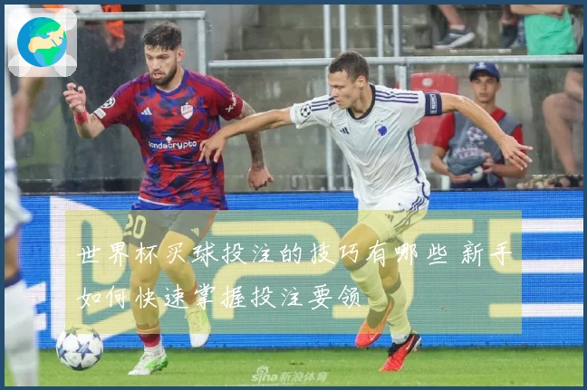 世界杯买球投注的技巧有哪些 新手如何快速掌握投注要领