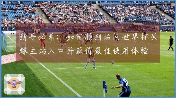 新手必看：如何顺利访问世界杯买球主站入口并获得最佳使用体验