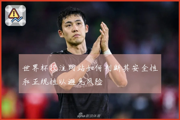世界杯投注网站如何判断其安全性和正规性以避免风险
