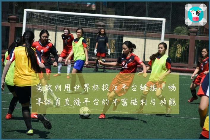 高效利用世界杯投注平台链接,畅享体育直播平台的丰富福利与功能介绍