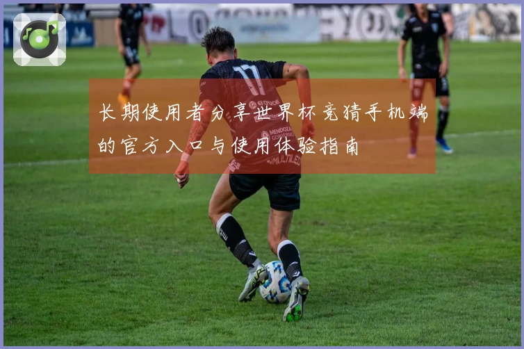 长期使用者分享世界杯竞猜手机端的官方入口与使用体验指南