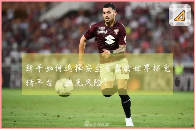 新手如何选择安全可靠的世界杯竞猜平台以避免风险？