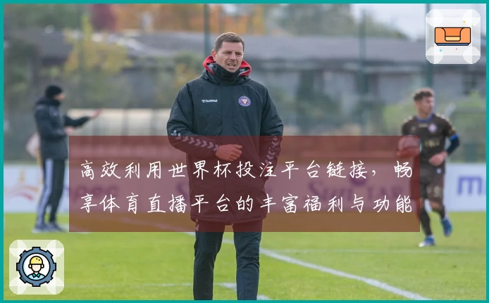 高效利用世界杯投注平台链接，畅享体育直播平台的丰富福利与功能介绍