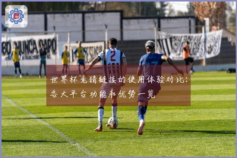 世界杯竞猜链接的使用体验对比：各大平台功能和优势一览