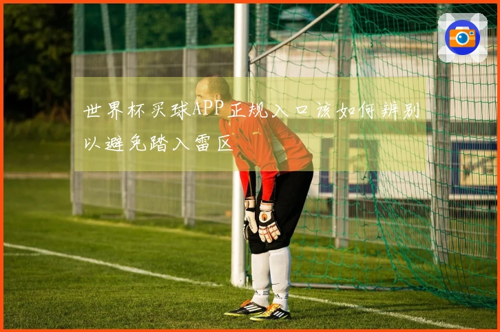 世界杯买球APP正规入口该如何辨别以避免踏入雷区