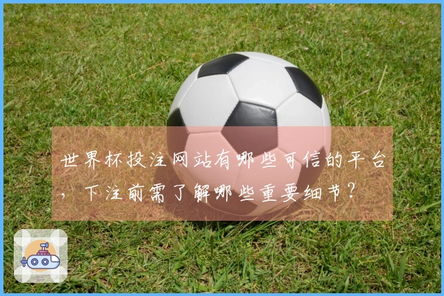 世界杯投注网站有哪些可信的平台，下注前需了解哪些重要细节？