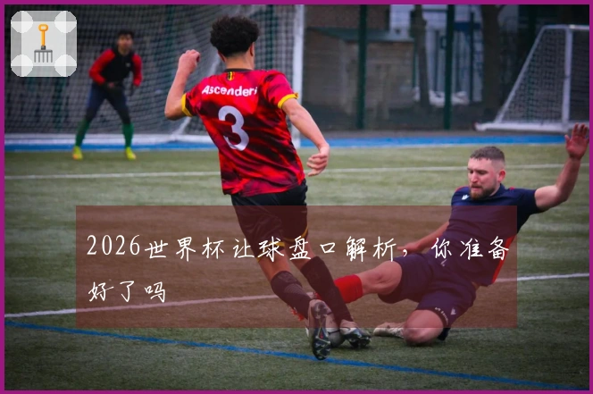 2026世界杯让球盘口解析，你准备好了吗