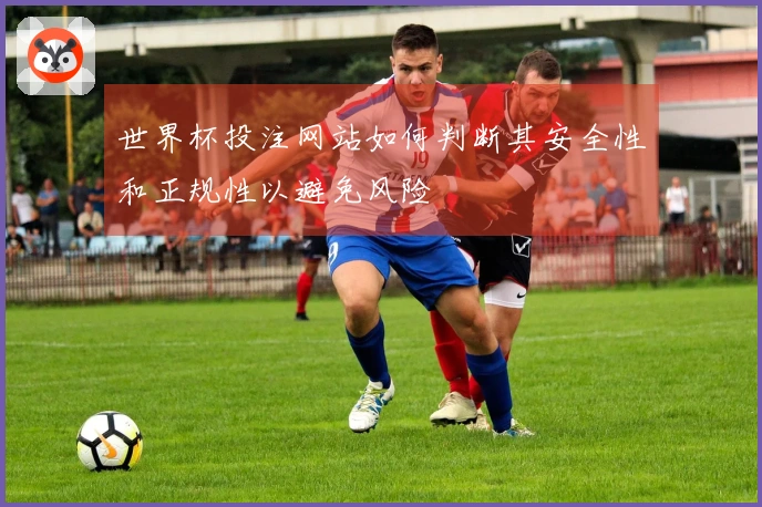 世界杯投注网站如何判断其安全性和正规性以避免风险