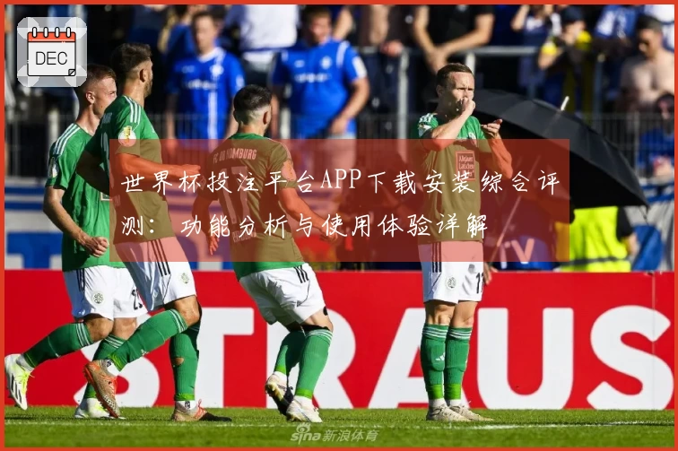 世界杯投注平台APP下载安装综合评测：功能分析与使用体验详解
